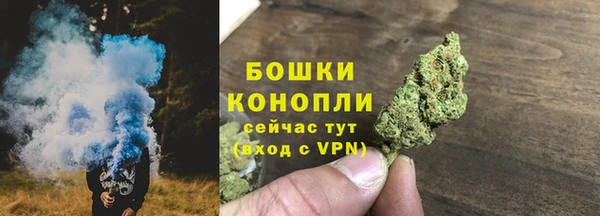 гидра Осинники