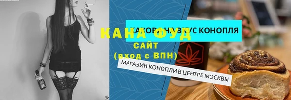 молекула духа Осташков