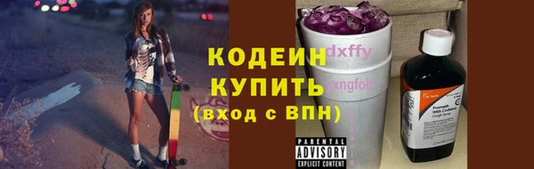 гидра Осинники