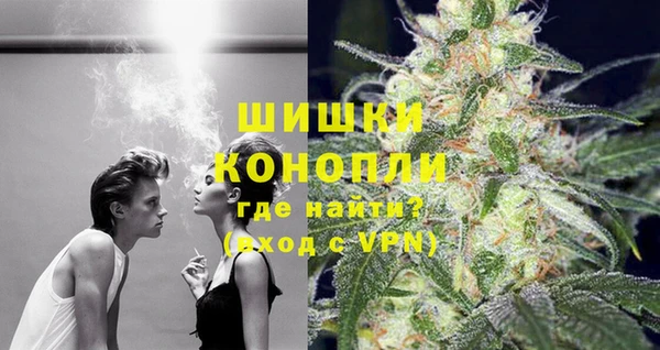 гидра Осинники