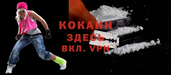гидра Осинники