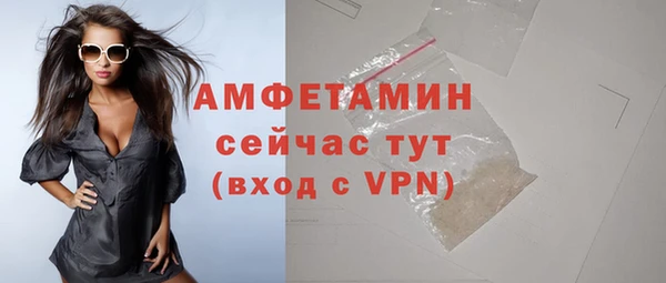 молекула духа Осташков