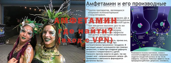 молекула духа Осташков