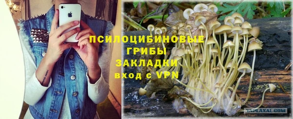 молекула духа Осташков