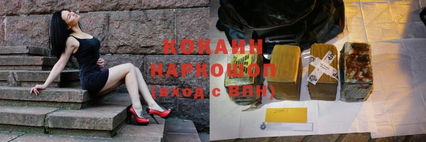 молекула духа Осташков