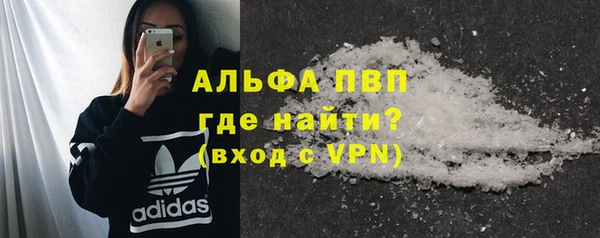 молекула духа Осташков