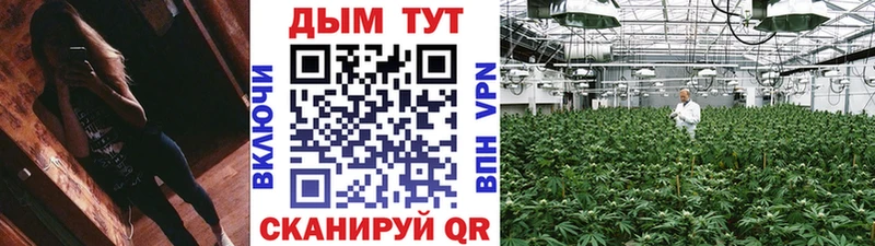 Купить закладки  Ельня  Бошки Шишки конопля 